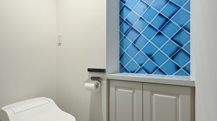 青いトイレのインテリアの実例